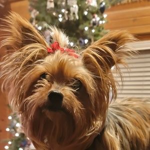 Meet your Posher, Tori